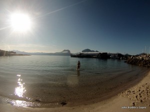 amelie swimming, fugloye,z